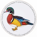 Wood Duck Tablemat