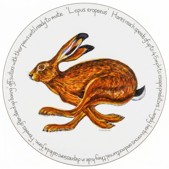 Hare Running Tablemat