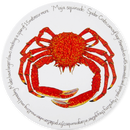 Spider Crab Tablemat