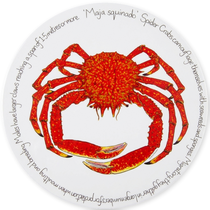 Spider Crab Tablemat