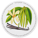 Vanilla Tablemat
