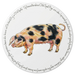 Gloucestershire Old Spot Pig tablemat