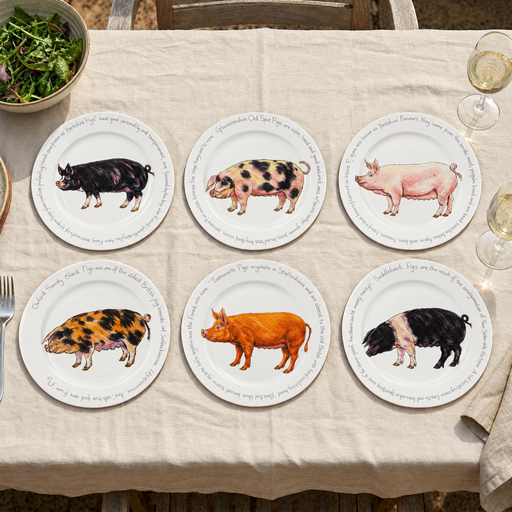 Pig Breeds Large Dinner Plate Set of 6 by Richard Bramble