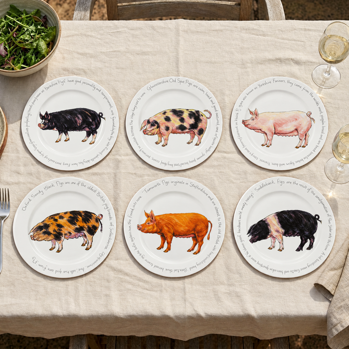 Pig Breeds Large Dinner Plate Set of 6 by Richard Bramble