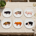 Pig Breeds Large Dinner Plate Set of 6 by Richard Bramble