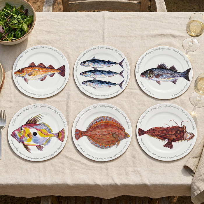 Sea Fish Large Dinner Plate Set of 6 by Richard Bramble
