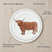 30cm flat rimmed plate size and features