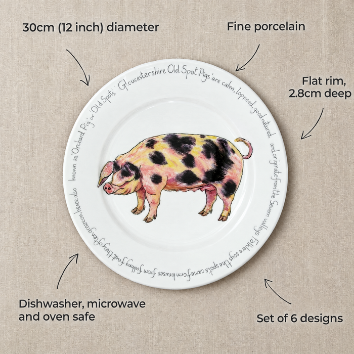 30cm flat rimmed plate size and features