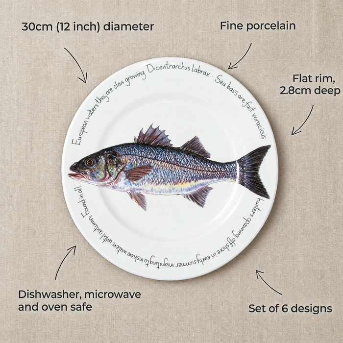30cm flat rimmed plate size and features