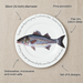 30cm flat rimmed plate size and features