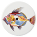 John Dory coaster