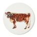 Longhorn Cow coaster
