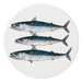 Mackerel coaster
