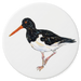 Oystercatcher coaster