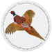 Ring-necked Pheasant tablemat