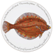 Plaice tablemat