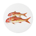 Red Mullet coaster