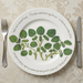Watercress 30cm flat rimmed plate lifestyle image