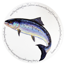 Salmon Tablemat
