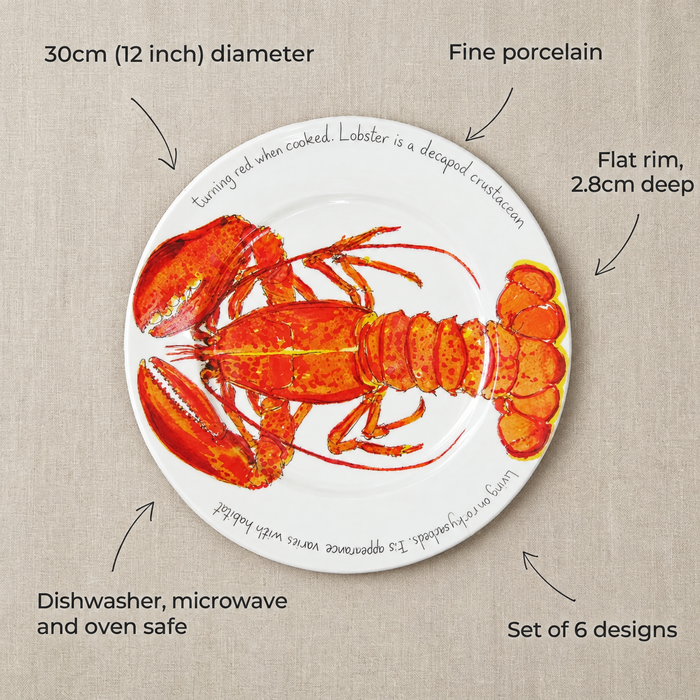 30cm flat rimmed plate size and features
