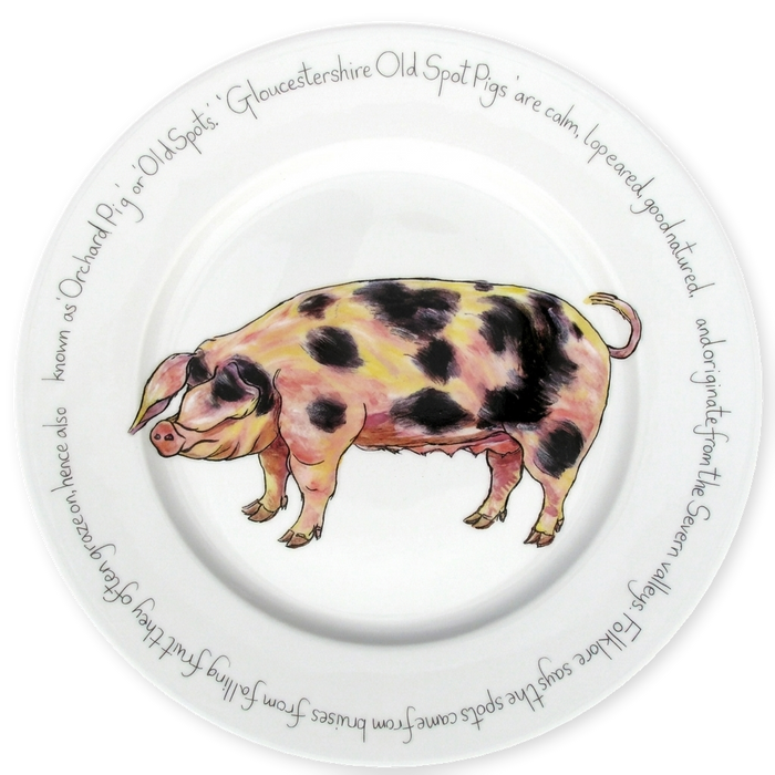 Pig Breeds Large Dinner Plate Set of 6 in use