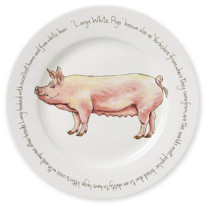 Pig Breeds Large Dinner Plate Set of 6 table setting