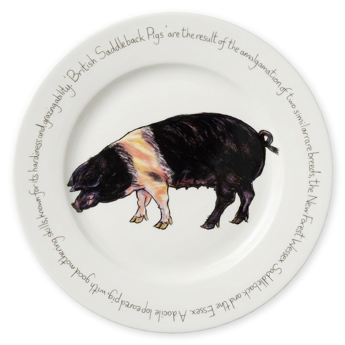 Pig Breeds Large Dinner Plate Set of 6