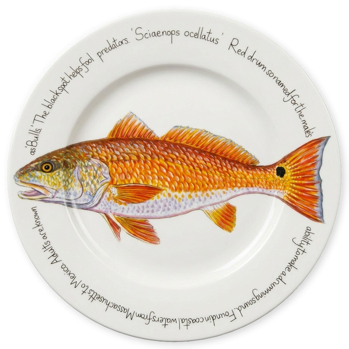 Red Drum 30cm flat rimmed plate