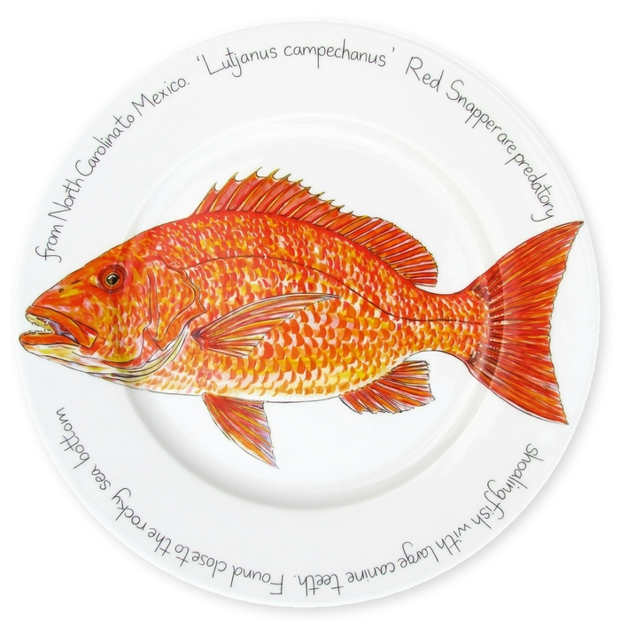 Red Snapper 30cm flat rimmed plate