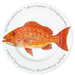 Red Snapper 30cm flat rimmed plate