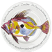 John Dory 30cm flat rimmed plate