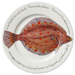 Plaice 30cm flat rimmed plate