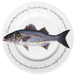 Sea Bass 30cm flat rimmed plate