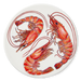 Shrimp & Prawn coaster