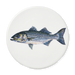 Striped Bass coaster