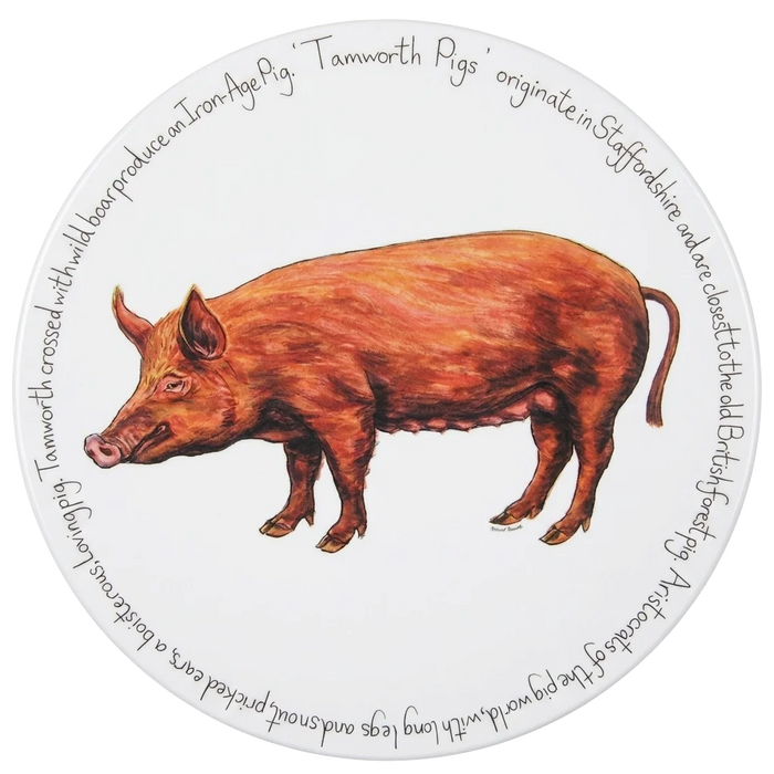 Pig Breeds Tablemat Set of 6 table setting