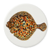 Turbot coaster