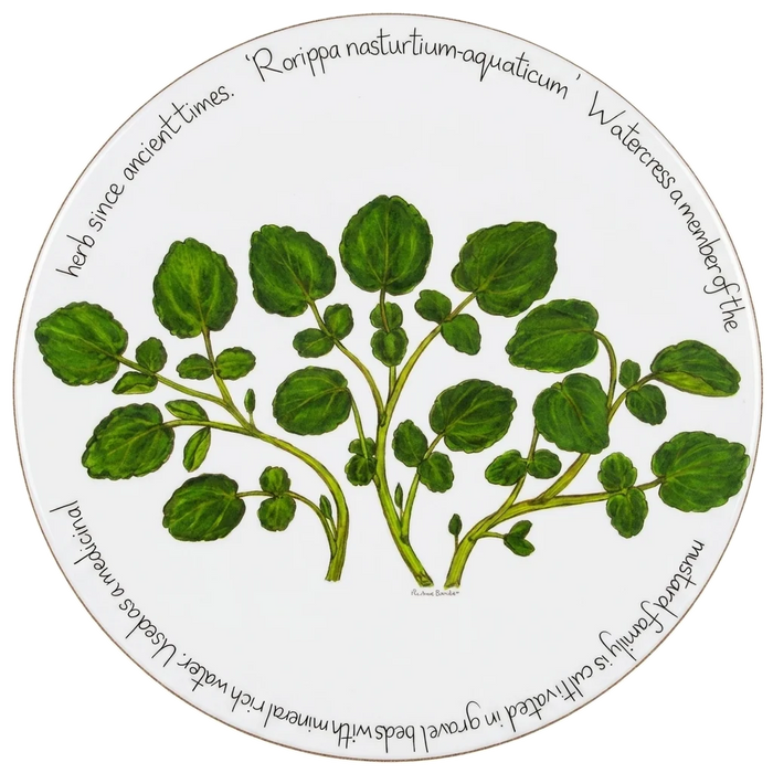 Kitchen Garden Tablemat Set of 6 size & rim guide