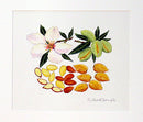 Almond painting