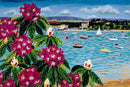 Brownsea Island from Evening Hill print Richard Bramble