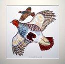 Grey Partridge