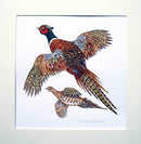 Richard Bramble Pheasants original watercolour painting