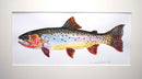 Cutthroat painting