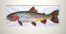 Cutthroat trout study 3