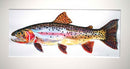 Cutthroat trout study 4
