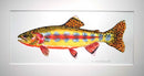 Golden Trout study 2