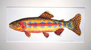 Golden Trout study 3