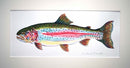 Richard Bramble original watercolour painting Rainbow Trout