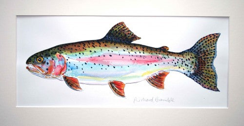 Richard Bramble Rainbow Trout 2 Original Painting