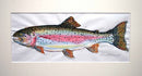 Rainbow Trout study 3